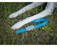 Notione GPS pet - 1363140 - zdjęcie 4